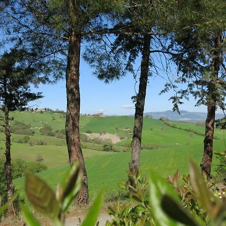Il Palagetto *