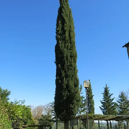 Il Palagetto