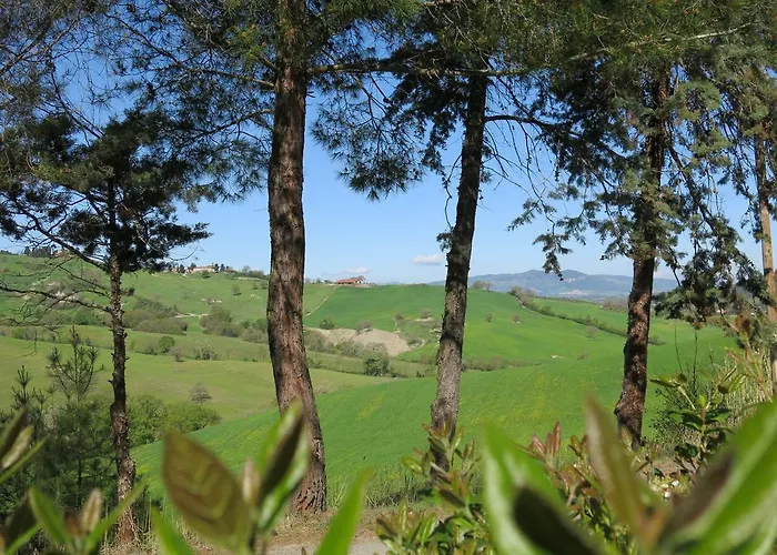 Il Palagetto *