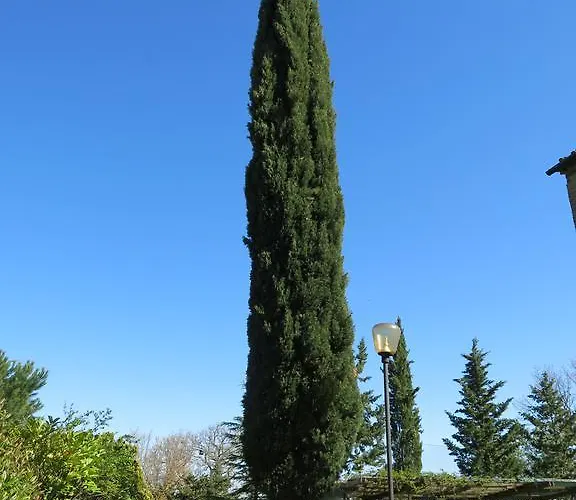 Il Palagetto